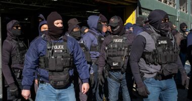 ICE splinters over Minneapolis shooting amid whispers of 'murder'