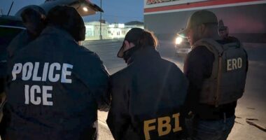 Illegal immigrant indicted in assault on ICE agents in Texas