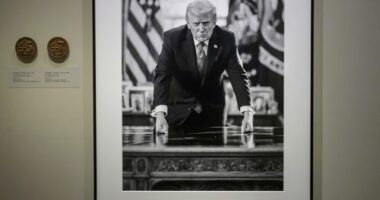 Impeachments info removed from Smithsonian's Trump portrait