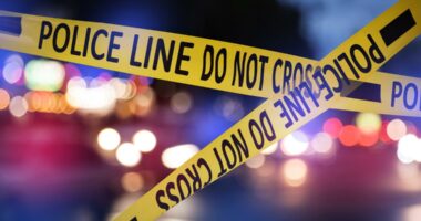 In-custody suspect dies after gun discharge in Nassau County, sheriff's office says