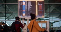 India's largest airlines sees shares drop after earnings plunge 78%