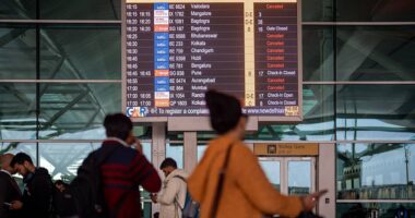 India's largest airlines sees shares drop after earnings plunge 78%