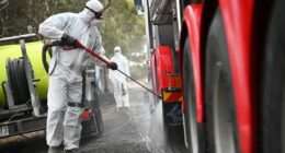 Infectious disease expert reveals viruses to worry about as 'super flu' overwhelms US... including one that could put the world 'on cusp of a pandemic'