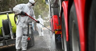 Infectious disease expert reveals viruses to worry about as 'super flu' overwhelms US... including one that could put the world 'on cusp of a pandemic'