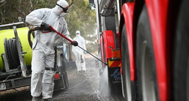 Infectious disease expert reveals viruses to worry about as 'super flu' overwhelms US... including one that could put the world 'on cusp of a pandemic'