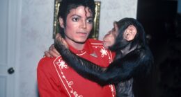 Inside Michael Jackson's pet Bubbles' quiet retirement life in Florida