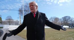 Inside Trump's bold plan to dish out $100 BILLION MORE to Americans in just months - but he wants the favor returned at the ballot box