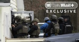 Inside armed police raid of Timothy Busfield's mountain hideout