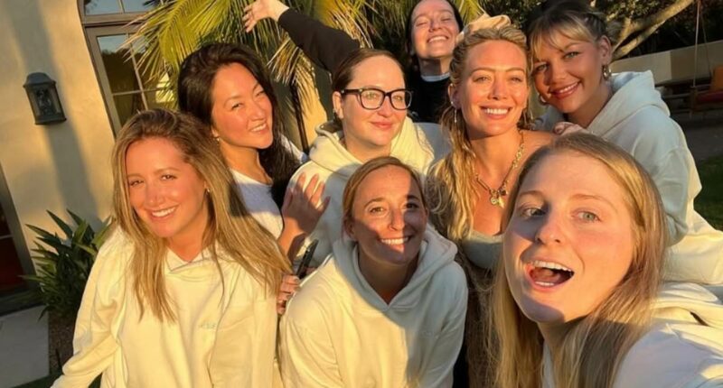 Insider NAMES celeb villain in Ashley Tisdale 'toxic mom group' drama