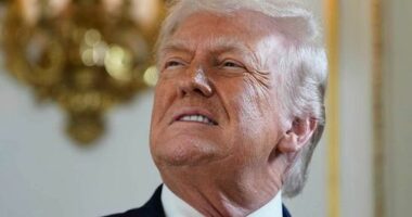 Donald Trump has threatened tariffs on any country that opposes his Greenland annexation plans.