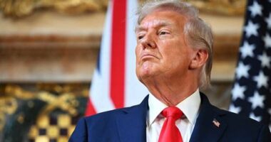 Iranian leaders have denied Donald Trump's claims they have halted hundreds of executions.