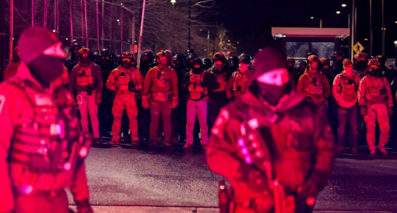 It doesn’t matter if Alex Pretti had a gun