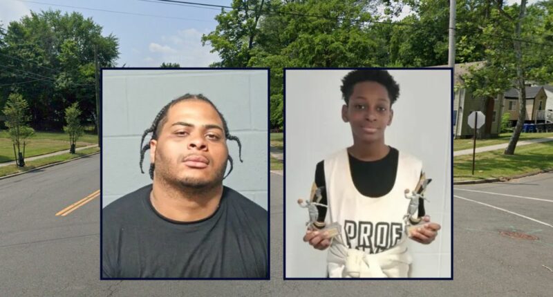 'It's just not right': Man driving Tesla Cybertruck killed 14-year-old in 'horrific' Christmas Day hit-and-run, police say