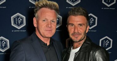 JAN MOIR: The ghastly family feuds that all prove one thing