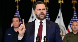 JD Vance hits back at claim that ICE arrested a five-year-old boy in Minneapolis: 'Are they supposed to let him freeze to death?'