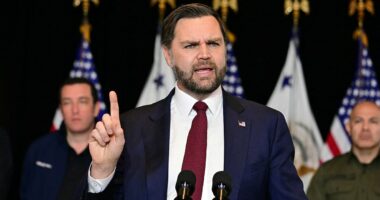 JD Vance hits back at claim that ICE arrested a five-year-old boy in Minneapolis: 'Are they supposed to let him freeze to death?'