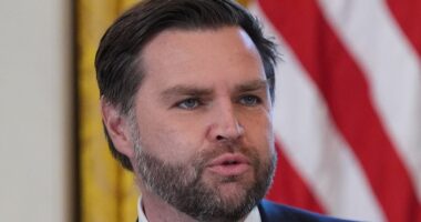 JD Vance says new footage proves ICE agent 'fired in self-defense'