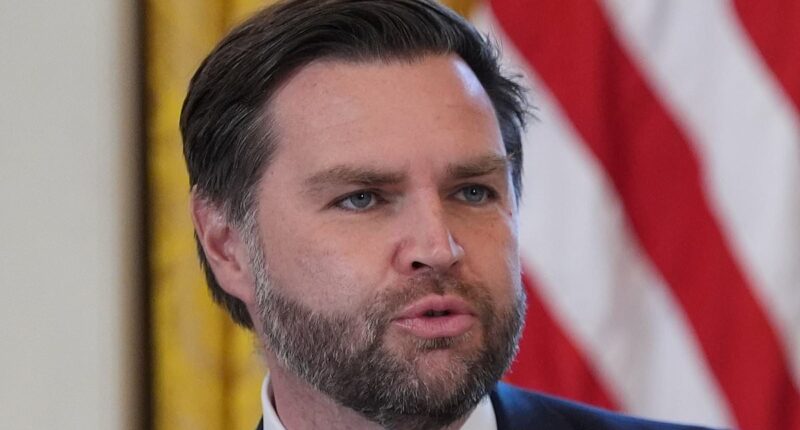 JD Vance says new footage proves ICE agent 'fired in self-defense'