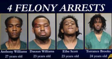 JSO gang unit arrests 4, seizes drugs and 22 guns in months-long operation