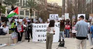 Jacksonville demonstrators demand justice after deadly Minneapolis ICE shooting