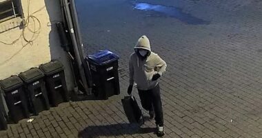 Jake Tapper mocked after referring to DC pipe bomb suspect as 'white'