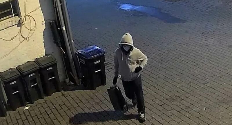 Jake Tapper mocked after referring to DC pipe bomb suspect as 'white'