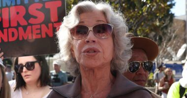 Jane Fonda lashes out at Trump outside Don Lemon's court hearing: 'They arrested the wrong Don!'