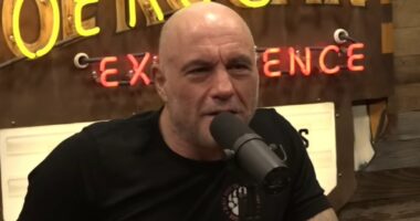 Joe Rogan wades in on 'f***ing nuts' San Francisco 49ers electrical substation injury conspiracy theory