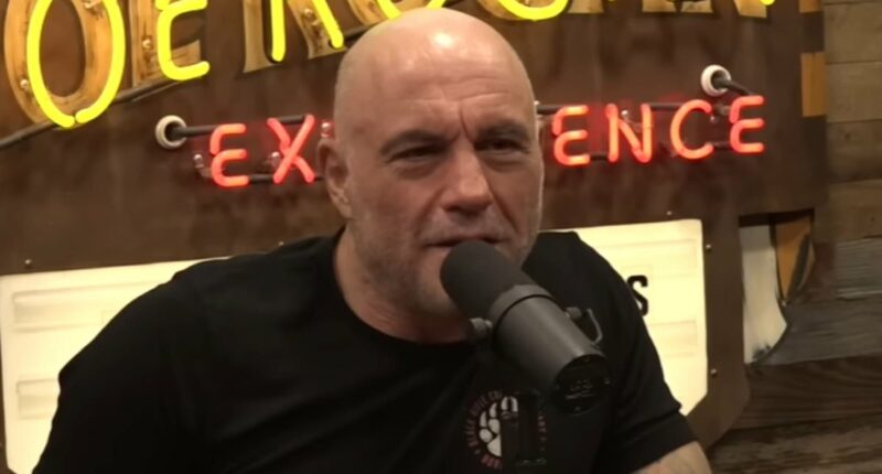 Joe Rogan wades in on 'f***ing nuts' San Francisco 49ers electrical substation injury conspiracy theory
