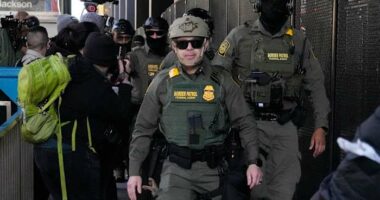 Jury selection begins in alleged murder-for-hire plot of Border Patrol leader in Chicago