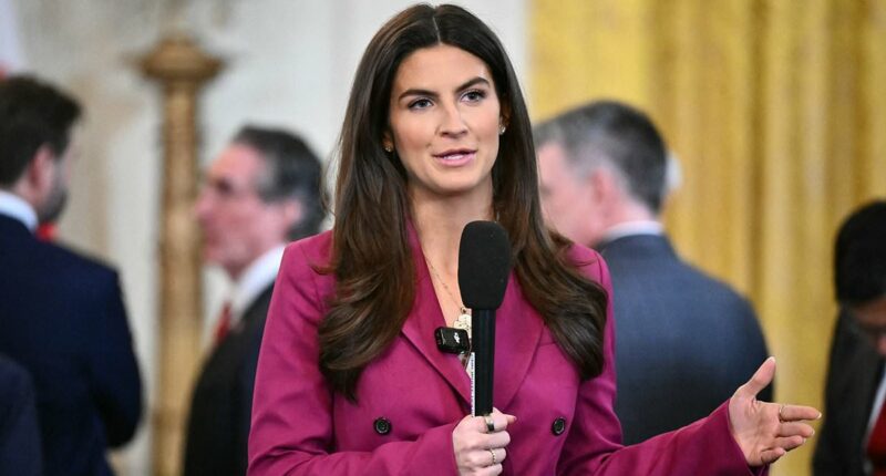 Kaitlan Collins responds after Trump called her 'stupid and nasty'