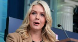 Karoline Leavitt attacks journalist after question about ICE shooting