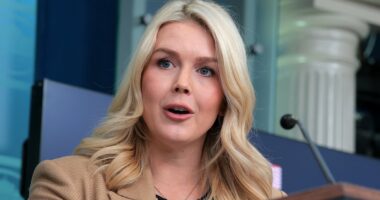 Karoline Leavitt attacks journalist after question about ICE shooting