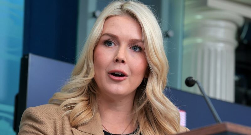 Karoline Leavitt attacks journalist after question about ICE shooting