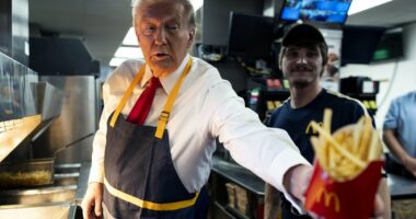 Karoline Leavitt defends Trump's McDonald's habit