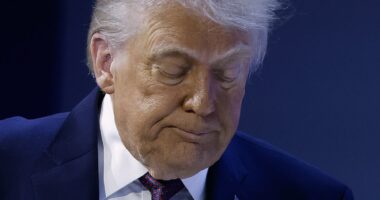 Karoline Leavitt gives extraordinary new reason for Trump's bruised hands