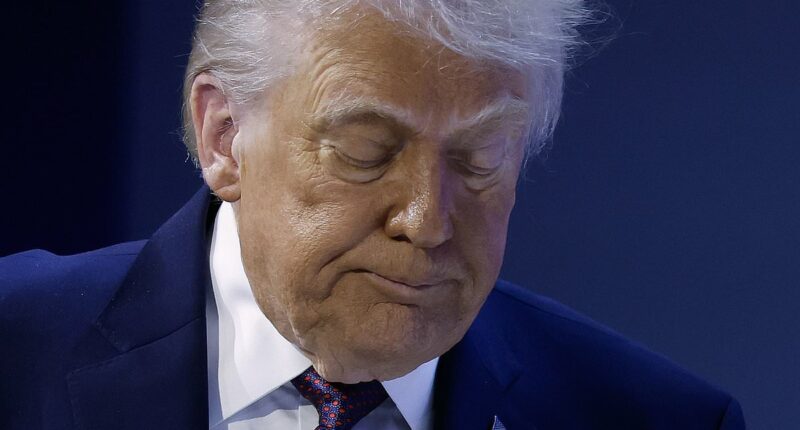 Karoline Leavitt gives extraordinary new reason for Trump's bruised hands