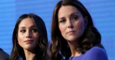 Kate Middleton dodged meeting Meghan Markle for as long as she could - but her reservations about Prince Harry's then-girlfriend 'came from a good place'