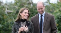 Kate at 44: How Princess of Wales is helping ease the monarchy's 'Harry and Meghan problem', her 'total loyalty' to William and how she's succeeded by being totally different to Diana