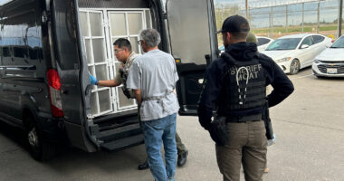 Kerri Ann Abatti killed: California farmer Michael Abatti pleads not guilty to killing estranged wife in Arizona