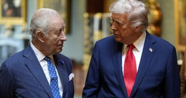 King Charles concerns 'prompted Trump to backtrack on UK troops jibe'