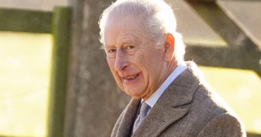 King's state visit 'should be axed' over Trump's Greenland threats