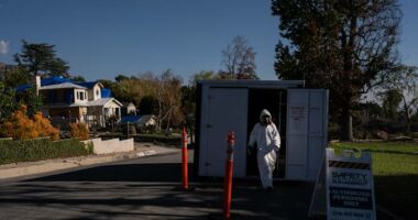 LA residents are still battling toxic hazards a year after historic wildfires