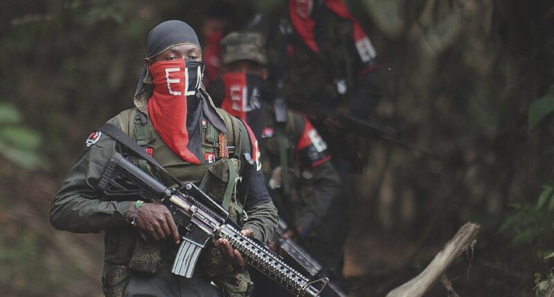 Latin America rebel groups urged to form 'super guerrilla' alliance against Trump