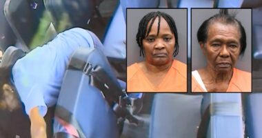 'Laughing during the abuse': School bus aide beat 10-year-old child on 14 separate days, with the driver looking on and chuckling at least once, deputies say