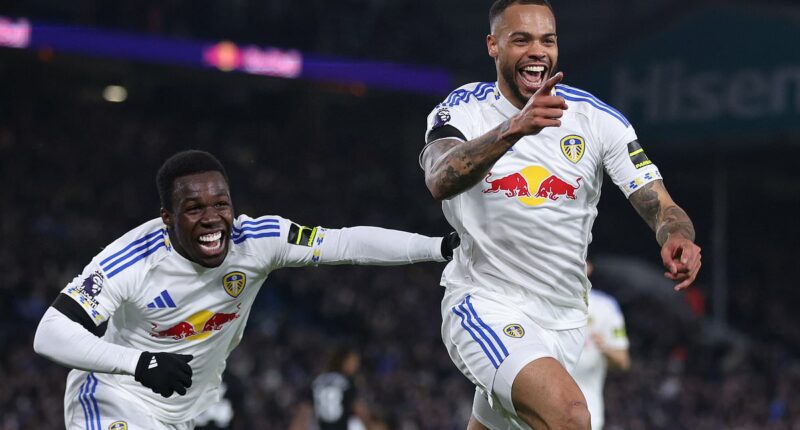 Leeds 1-0 Fulham: Daniel Farke's side continue to thrive at fortress Elland Road - and who's the Whites midfielder who could STAR at the World Cup?