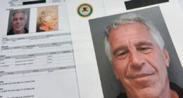 Less than 1 per cent of Jeffrey Epstein files released