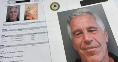 Less than 1 per cent of Jeffrey Epstein files released