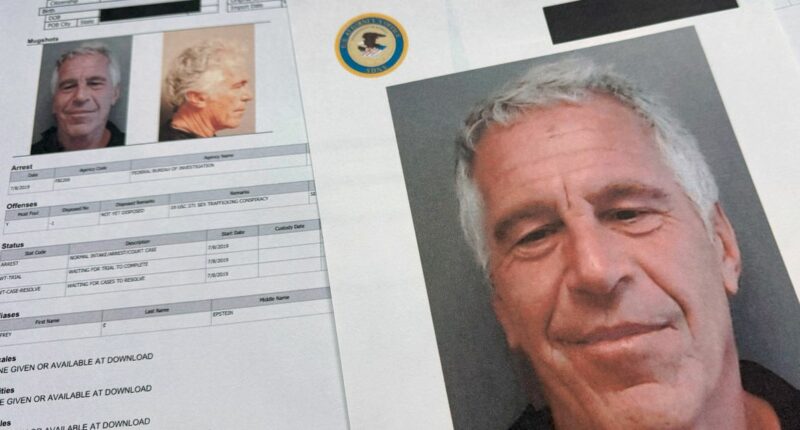 Less than 1 per cent of Jeffrey Epstein files released