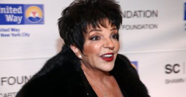 Liza Minnelli defends use of AI on first new song in 13 years